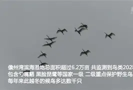 KQ╡裈{萠?羣勺簿o9-开云APP